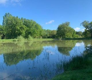  Terrain � vendre 15196 m�