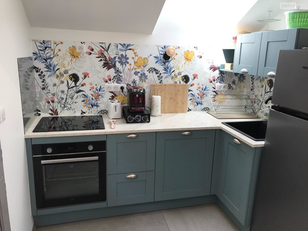 � vendre  Propri�t�/ch�teau Ath�e-sur-Cher (37270)