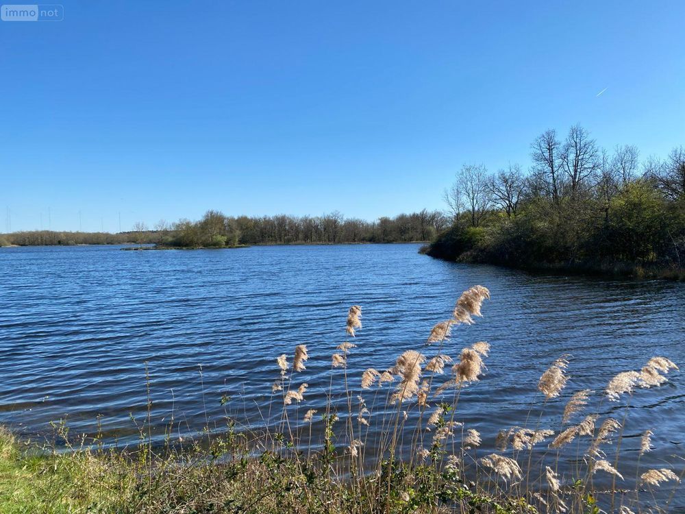 � vendre  Propri�t�/ch�teau Ling� (36220)