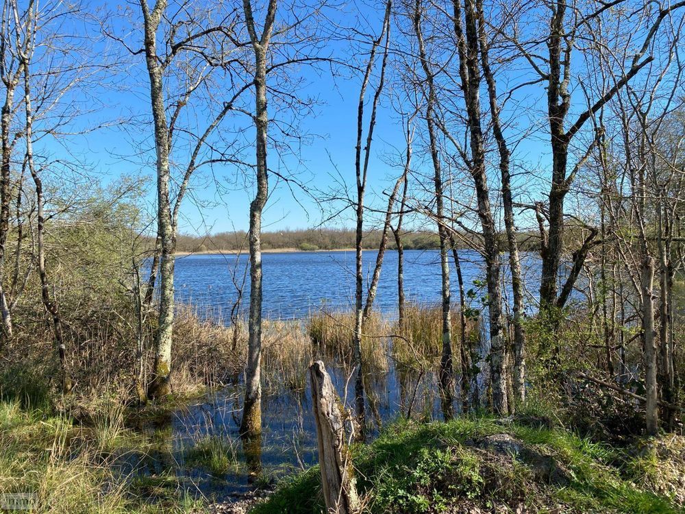 � vendre  Propri�t�/ch�teau Ling� (36220)