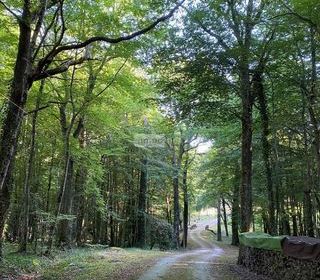  Maison � vendre 9 pi�ces 258 m�