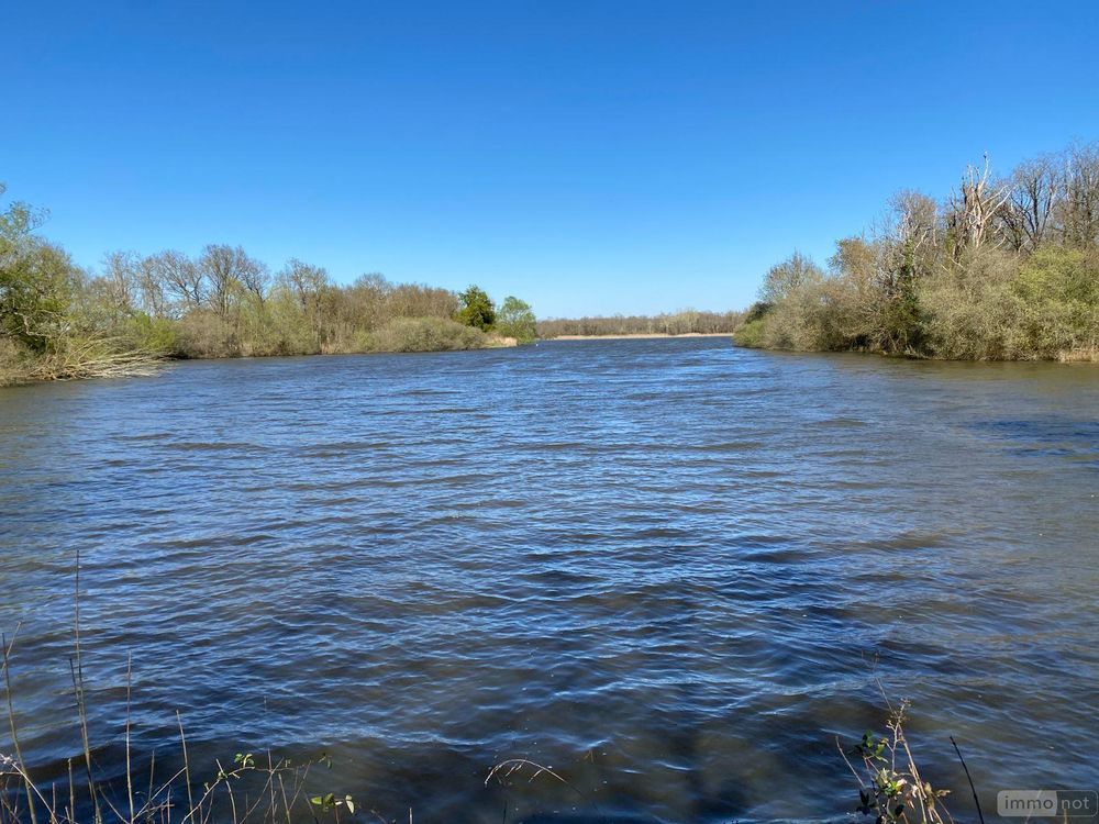 � vendre  Propri�t�/ch�teau Ling� (36220)