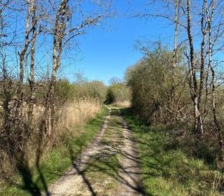  Propri�t�/ch�teau � vendre 4 pi�ces 133 m�