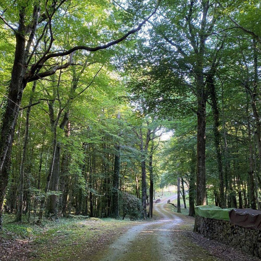 � vendre  Maison Ch�tillon-sur-Indre (36700)