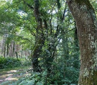  Maison � vendre 9 pi�ces 258 m�