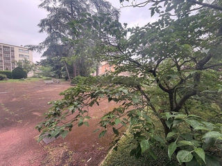  Appartement � vendre 4 pi�ces 79 m�