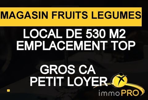 GROSSE RENTA!!Tr&egrave;s joli magasin magasin de fruits et ... 1026000 69520 Givors