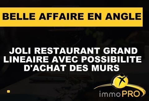 RARE! Belle affaire en angle avec un grand lin&eacute;aire L... 270000 69008 Lyon