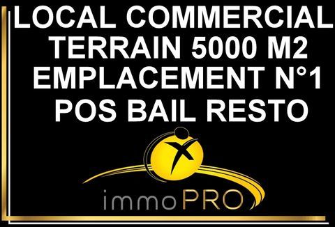 Fonds de commerce Garage automobile sur un terrain de... 429000 69800 Saint priest