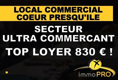 Ce commerce est situ&eacute; dans une des rues les plus comm... 58000 69001 Lyon