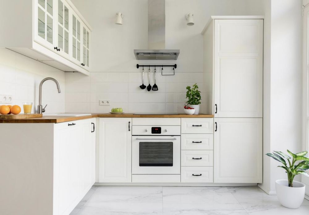 Appartements neufs   Toulouse (31100)