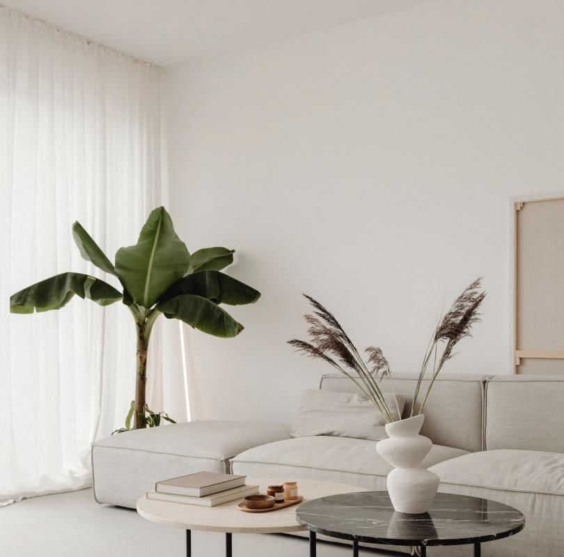 Maisons neuves   Toulouse (31100)