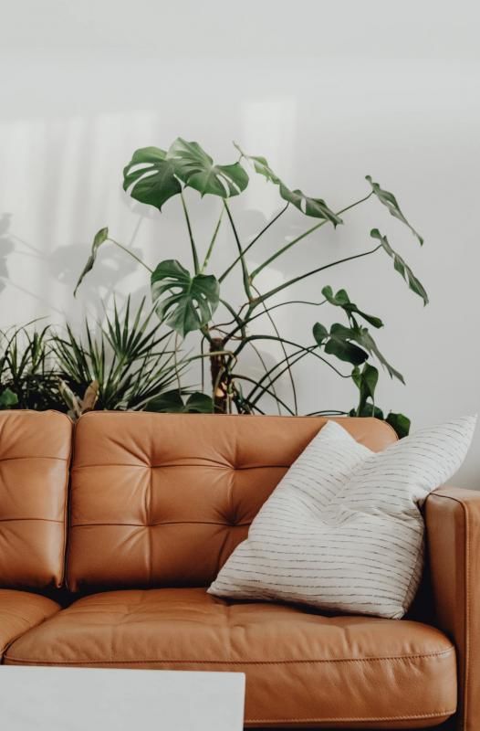 Appartements neufs   Villenave-d'Ornon (33140)