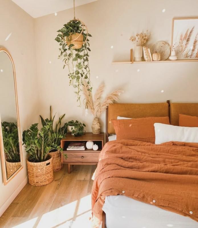 Appartements neufs   Lacroix-Falgarde (31120)