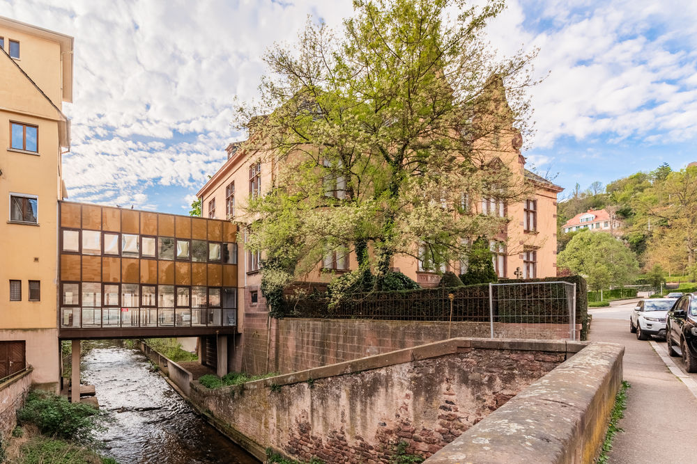 Appartements neufs   Obernai (67210)