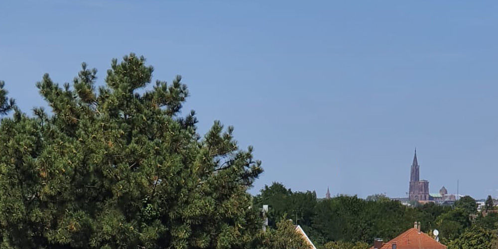 Appartements neufs   Illkirch-Graffenstaden (67400)