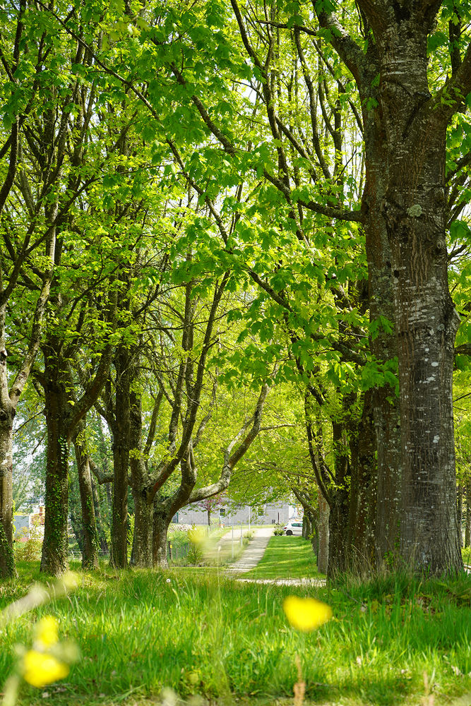 Terrains  batir   Guichen (35580)