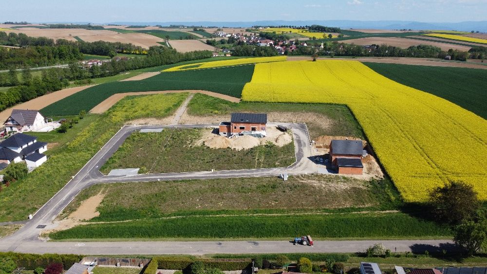 Terrains � batir   Trimbach (67470)