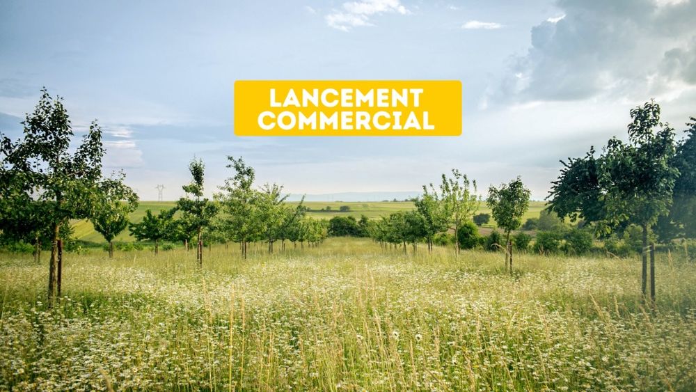 Terrains � batir   Bischwihr (68320)