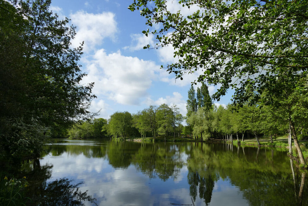 Appartements neufs   Challans (85300)