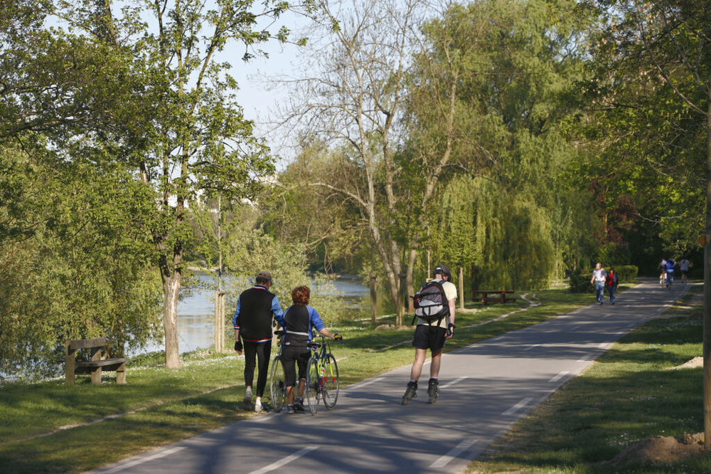 Appartements neufs   Noisy-le-Grand (93160)