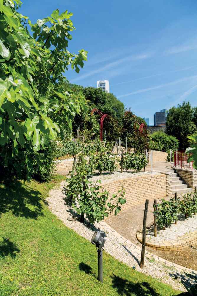 Appartements neufs et Maisons neuves   Puteaux (92800)