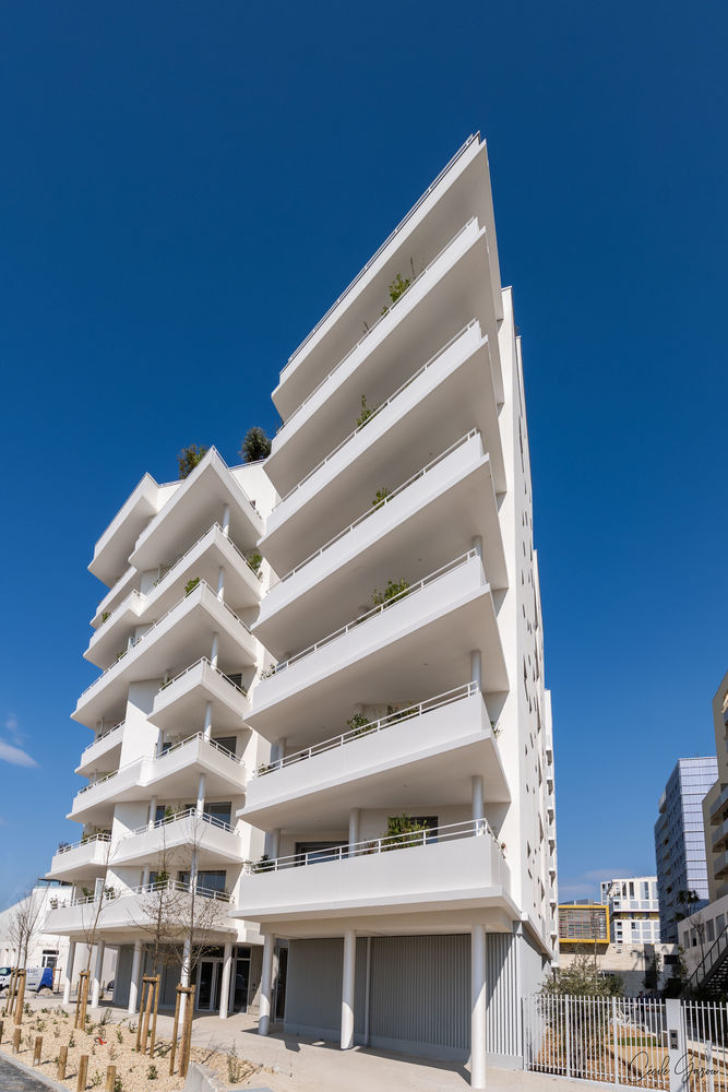 Appartements neufs   Montpellier (34000)