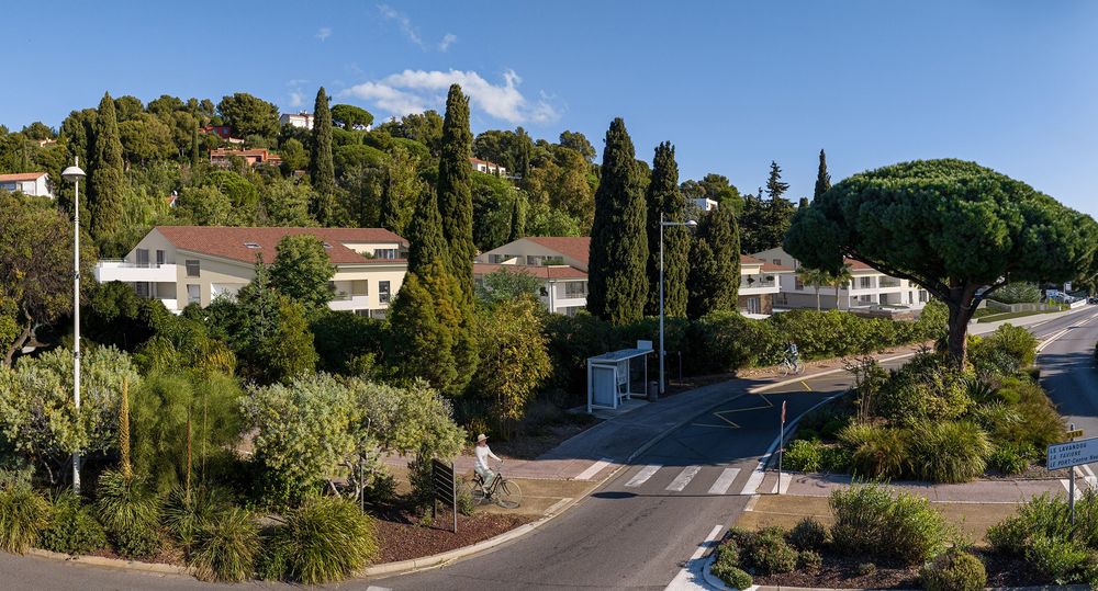 Appartements neufs   Bormes-les-Mimosas (83230)