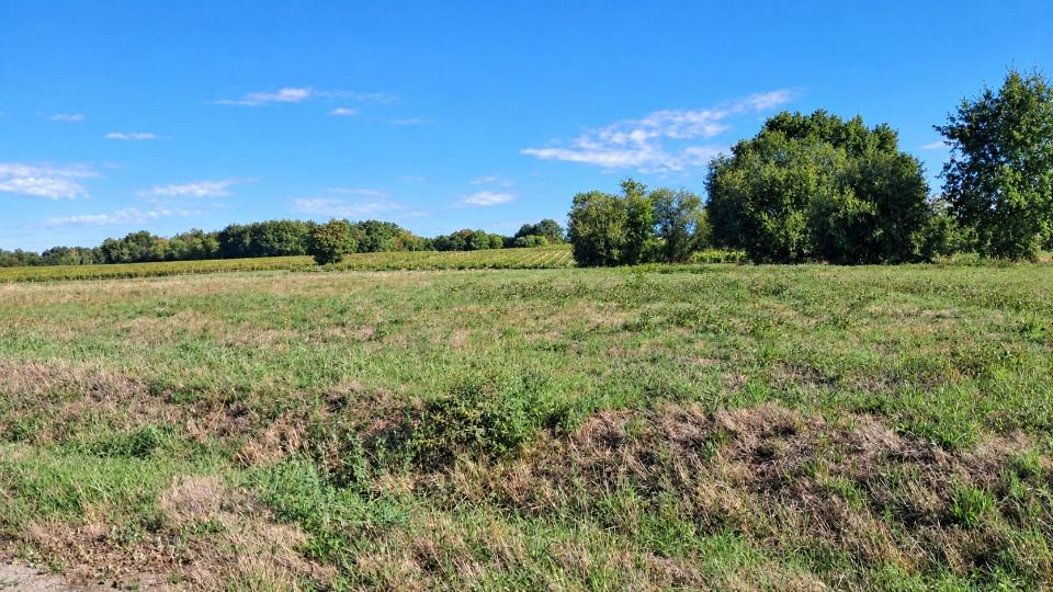 TERRAIN CONSTRUCTIBLE DE 2972M2 - VALLET (commune annexe....
