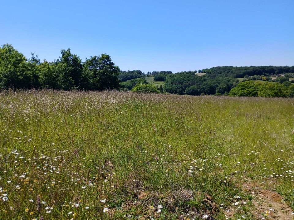 TERRAIN À CONSTRUIRE DE 2040 M² AVEC VUE PANORAMIQUE À S....
