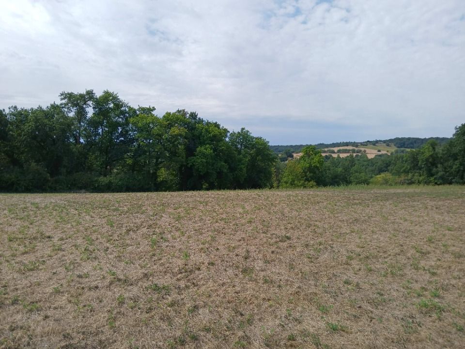 TERRAIN À CONSTRUIRE DE 23 620 M² À SAINT-MARTIN-DE-RIBÉ....
