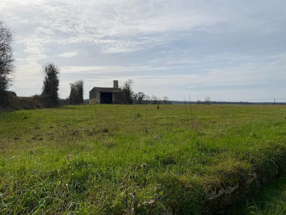 TERRAIN À CONSTRUIRE DE 753 M² À PLASSAY, PROCHE DE SAIN....