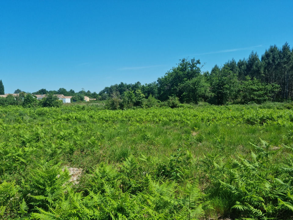 TERRAIN À CONSTRUIRE DE 762 M² DANS UN EMPLACEMENT PRIVI....