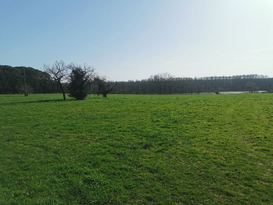 VENTE : terrain de 460 m² à Saint-Pierre-d'Aurillac C....