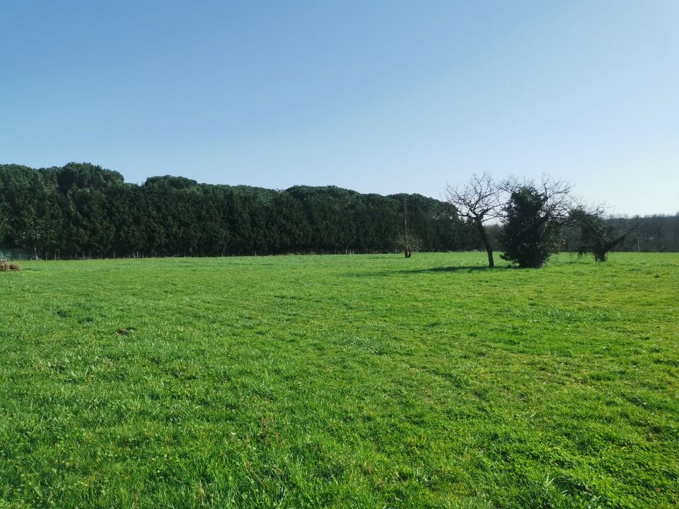 VENTE d'un terrain de 995 m² à Coimères Contactez Hél....