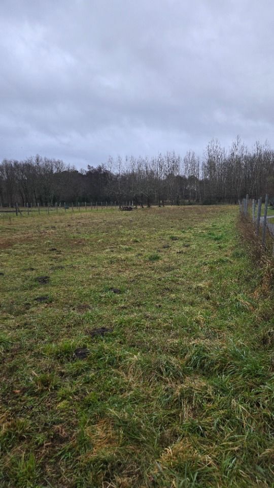 Contact : Isabelle Nadau - MCA Saint-André-de-Cubzac (EX....