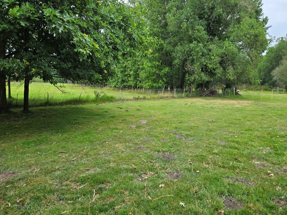 Isabelle Nadau - MCA Saint-André-de-Cubzac (EXCLUSIVITÉ)....