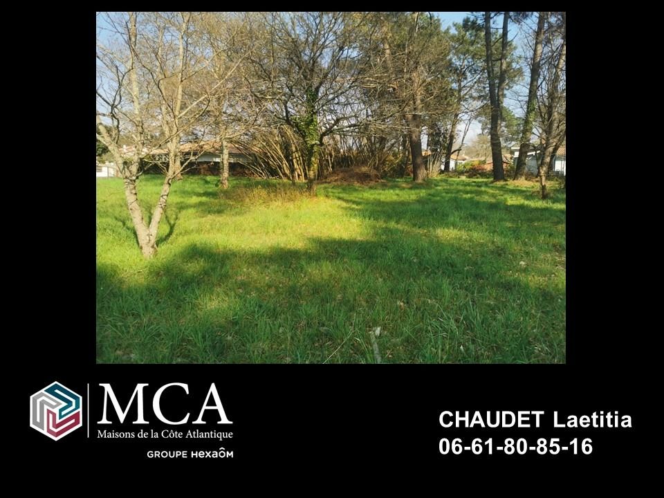 Prenez contact avec Mme Chaudet au O6/61/8O/85/16 des ma....