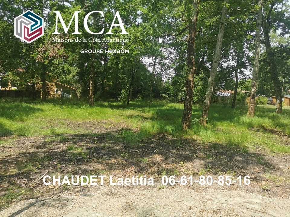 Pour plus de renseignements, contacter Laetitia au O6-61....