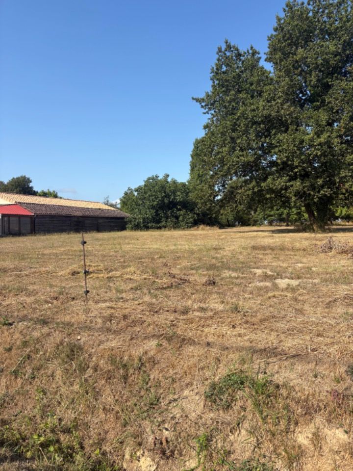 Magnifique terrain de 800 m2 à vendre sur la commune de ....