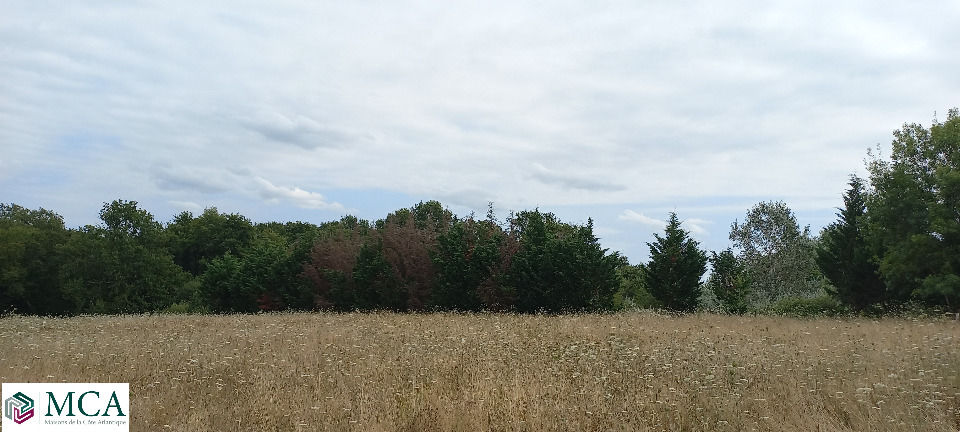 Sur la commune d'Eygurande Gardedeuil, beau terrain de 2....