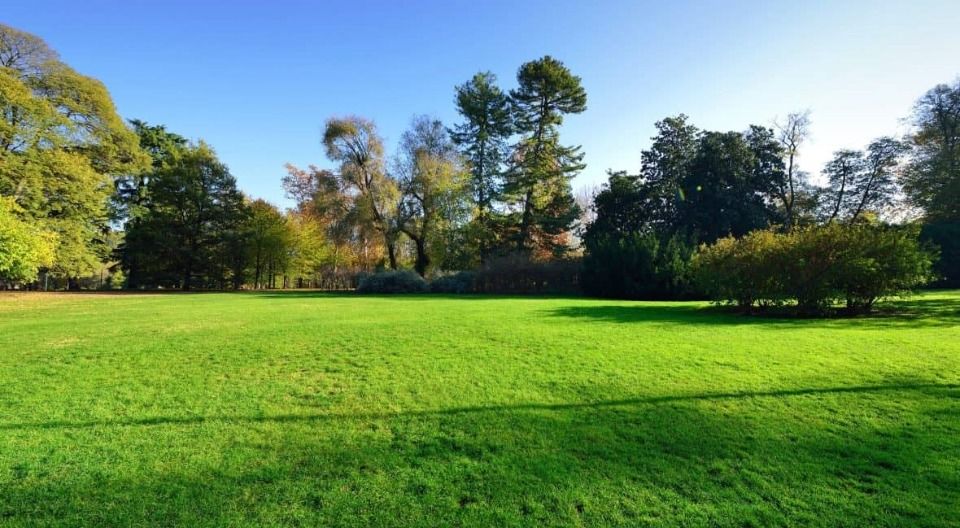 Terrain de 551 m² à vendre à Baron Proche de Bordeaux....