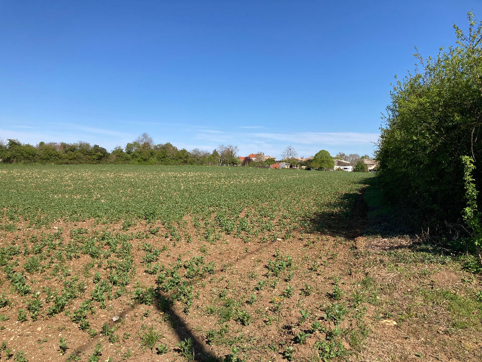 VENTE d'une maison F5 (125 m²) à Champagnolles Idéale....