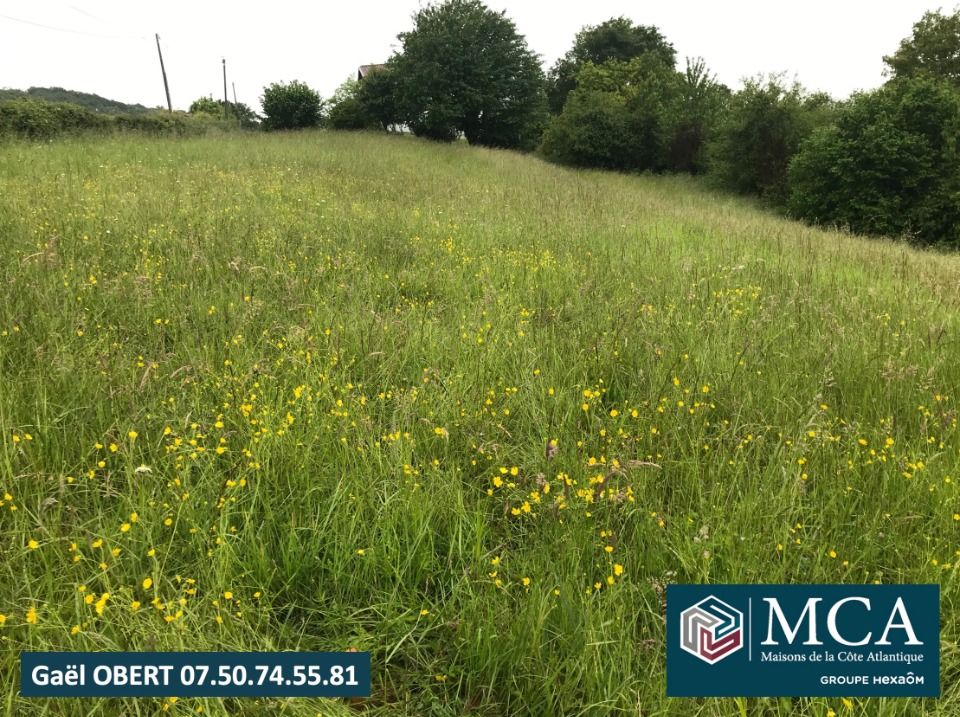 Maisons neuves   Guiche (64520)