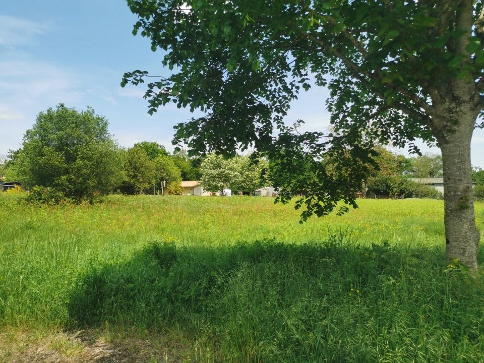 Maisons neuves   Portets (33640)