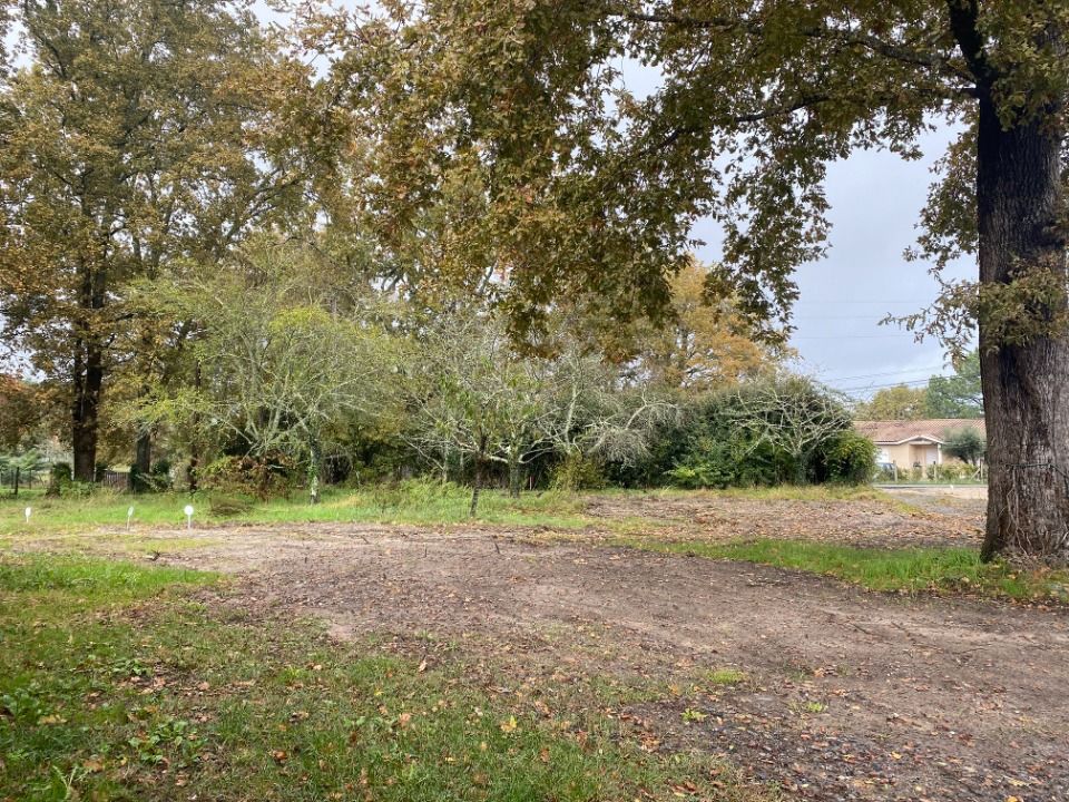 Maisons neuves   Mios (33380)