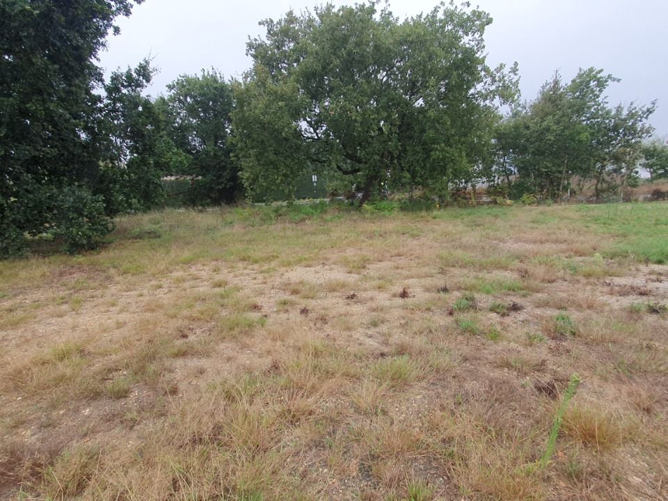 Maisons neuves   Bassens (33530)