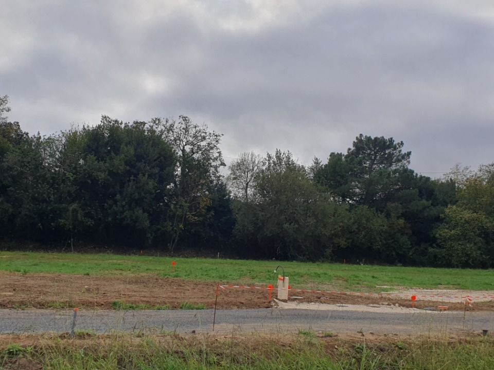 Maisons neuves   Bourg (33710)