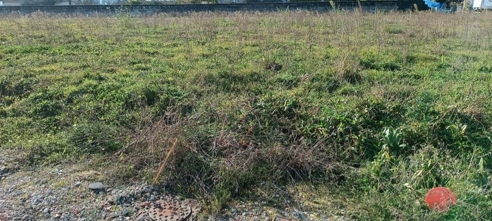 Maisons neuves   Gauriaguet (33240)