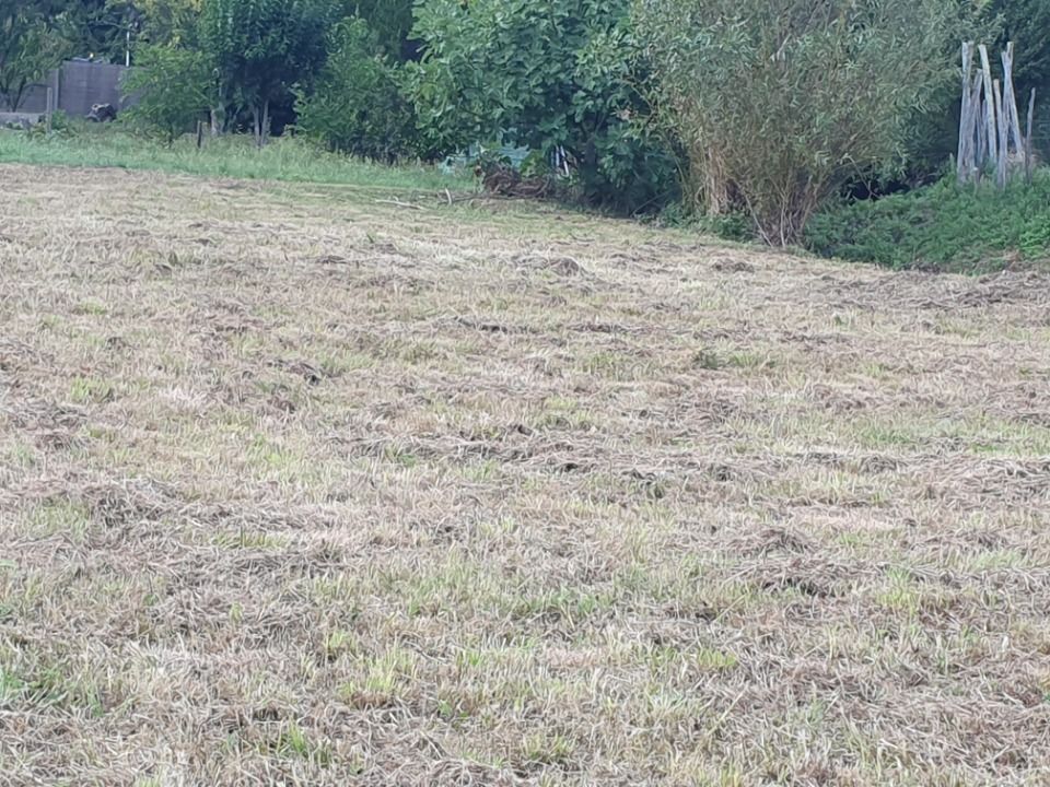 Maisons neuves   Saint-Romain-la-Virv�e (33240)